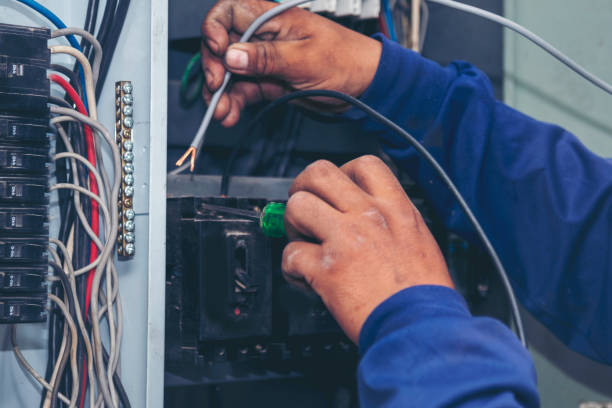 Best Ceiling Fan Installation Electrician  in Forest Meadows, CA