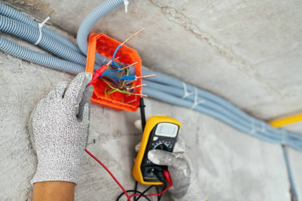 Best Affordable Electrician  in Forest Meadows, CA